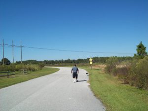 Following the road ahead