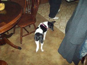 Gracie taking it all in