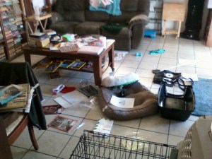 Gracie's mess 1.23.14